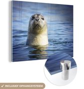 MuchoWow® Glasschilderij 80x60 cm - Schilderij acrylglas - Zeehond - Portret - Water - Foto op glas - Schilderijen