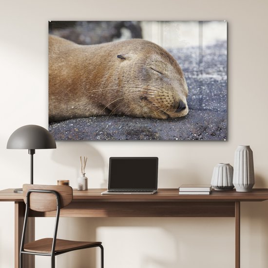 Peinture sur Verre - Gros plan - Animaux - Pierres - 120x80 cm - Peintures sur Verre Peintures - Photo sur Glas
