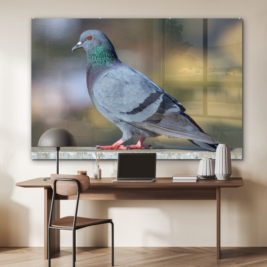 MuchoWow® Peinture sur verre 150x100 cm - Peinture sur verre acrylique - Duif - Vogel - Clôture - Photo sur verre - Peintures