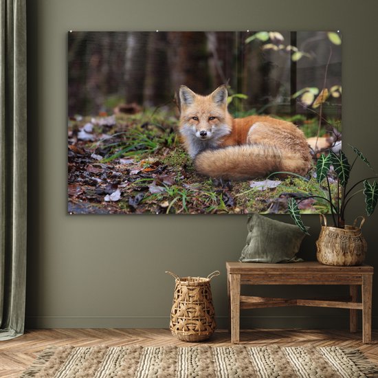 MuchoWow® Peinture sur verre - Renard - Forêt - Animal - 150x100 cm - Peintures sur verre acrylique - Photo sur Glas