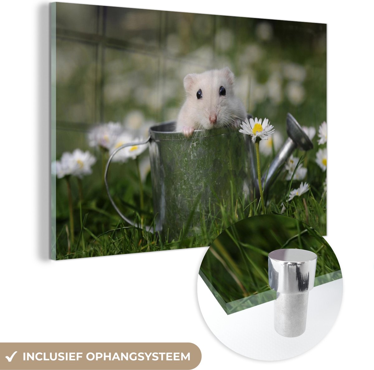 ® Glasschilderij 180x120 cm - Schilderij acrylglas - Dwerghamster in een ijzeren gieter - 