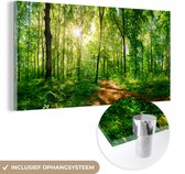 MuchoWow® Glasschilderij 40x20 cm - Schilderij acrylglas - Bos - Zon - Boom - Foto op glas - Schilderijen