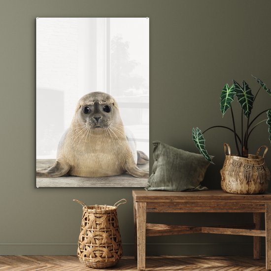 MuchoWow® Peinture sur verre 60x90 cm - Peinture sur verre acrylique - Sceau - Animaux - Enfant - Garçons - Filles - Enfants - Photo sur verre - Peintures