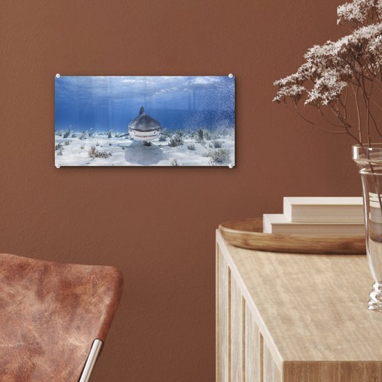 MuchoWow® Peinture sur Verre - Requin Nageur - 40x20 cm - Peintures sur Verre Acrylique - Photo sur Glas