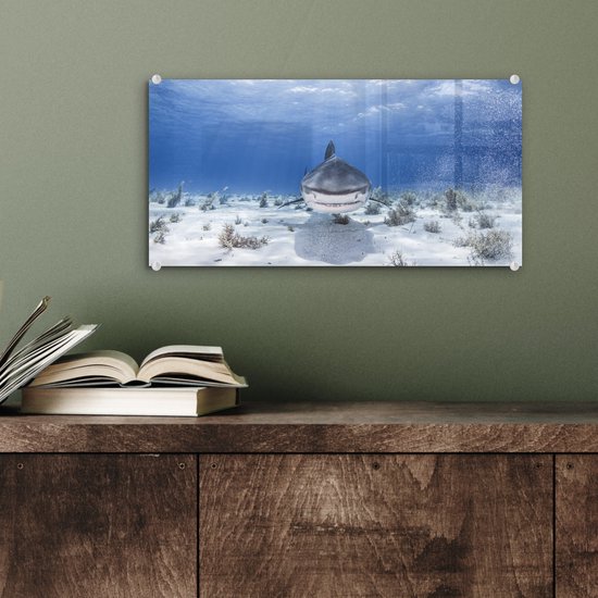 MuchoWow® Peinture sur Verre - Requin Nageur - 40x20 cm - Peintures sur Verre Acrylique - Photo sur Glas