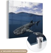 MuchoWow® Glasschilderij 20x20 cm - Schilderij acrylglas - Walvishaai aan de oppervlakte - Foto op glas - Schilderijen