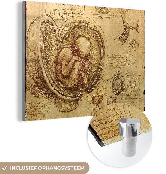 MuchoWow® Glasschilderij 160x120 cm - Schilderij acrylglas - Baby in the womb - Leonardo da Vinci - Foto op glas - Schilderijen