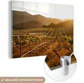 Vignoble au coucher du soleil Glas 30x20 cm - petit - Tirage photo sur Glas (décoration murale en plexiglas)
