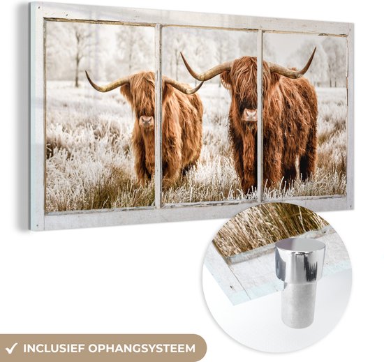 Peinture sur Verre - Highlander écossais - Vache - Voir à Travers - 80x40 cm - Peintures sur Verre Peintures - Photo sur Glas