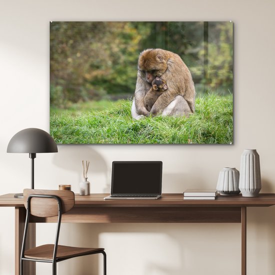 MuchoWow® Peinture sur verre 120x80 cm - Peinture sur verre acrylique - Singe - Jeune - Herbe - Photo sur verre - Peintures