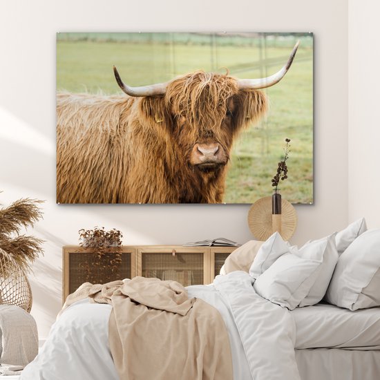 MuchoWow® Glasschilderij 180x120 cm - Schilderij acrylglas - Schotse hooglander - Hoorn - Gras - Foto op glas - Schilderijen