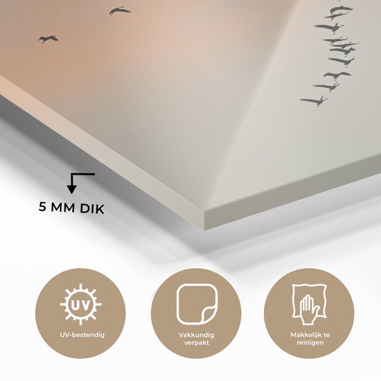 Peinture sur verre MuchoWow® - Troupeau de grues - 120x80 cm - Peintures sur verre acrylique - Photo sur Glas