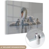 MuchoWow® Glasschilderij 90x60 cm - Schilderij acrylglas - Zwaan - Water - Kuikens - Foto op glas - Schilderijen