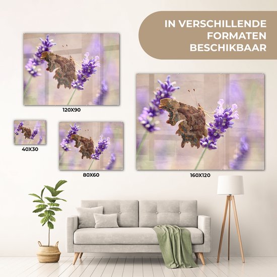 MuchoWow® Peinture sur verre 160x120 cm - Peinture sur verre acrylique - Le papillon aurelia craquelé boit du nectar - Photo sur verre - Peintures