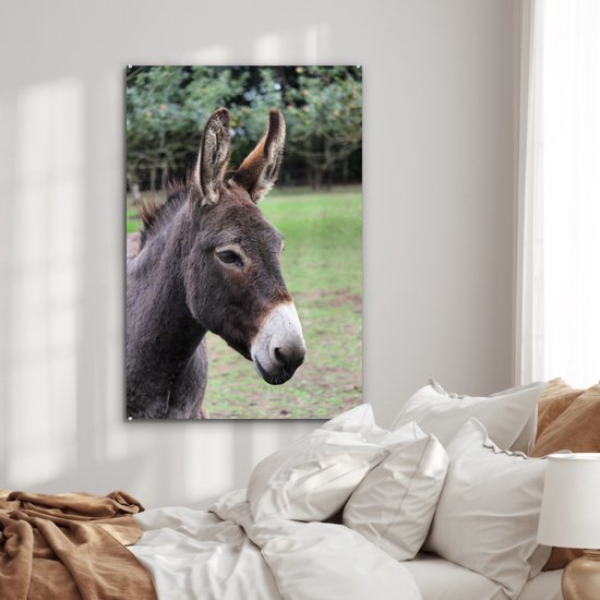 MuchoWow® Peinture sur Verre - Âne Brun - 80x120 cm - Peintures sur Verre Acrylique - Photo sur Glas