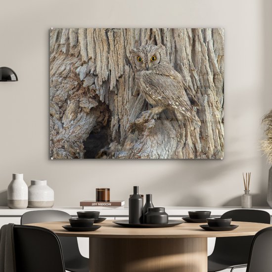 MuchoWow® Peinture sur Verre - Hibou Camouflé - 80x60 cm - Peintures sur Verre Acrylique - Photo sur Glas