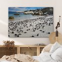 Een groep pinguïns op een zandstrand bij de oceaan, met rotsen en huizen op de achtergrond.
