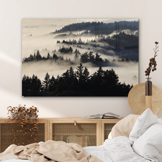 MuchoWow® Peinture sur Verre - Illustration Zwart& Blanc de Redwood dans le Brouillard - 90x60 cm - Peintures sur Verre Acrylique - Photo sur Glas