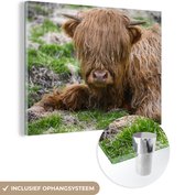 MuchoWow® Peinture sur verre 120x90 cm - Peinture sur verre acrylique - Highlander écossais - Foin - Herbe - Photo sur verre - Peintures