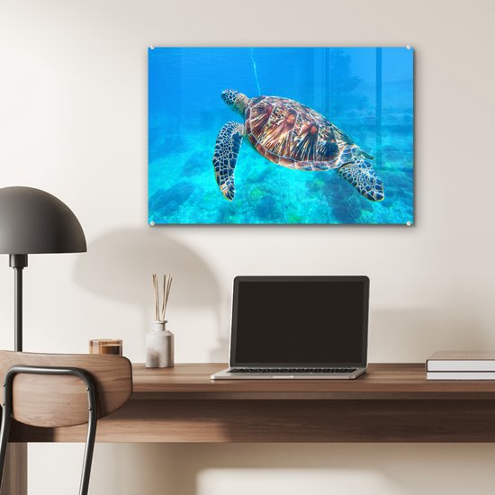 MuchoWow® Peinture sur verre 60x40 cm - Peinture sur verre acrylique - Tortue - Mer - Blauw - Photo sur verre - Peintures