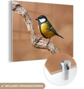 MuchoWow - Glasschilderij - Foto op glas - Koolmees - Vogel - Takken - 40x30 cm - Acrylglas - Glasschilderij natuur - Schilderij glas - Glasschilderij vogels - Woonkamer