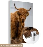 MuchoWow® Peinture sur verre – Highlander écossais – Dune – Herbe – 100 x 150 cm – Peintures sur verre acrylique – Photo sur Glas