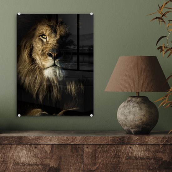 MuchoWow® Peinture sur verre - Lion - Lumière - Zwart - 30x40 cm - Peintures sur verre acrylique - Photo sur Glas