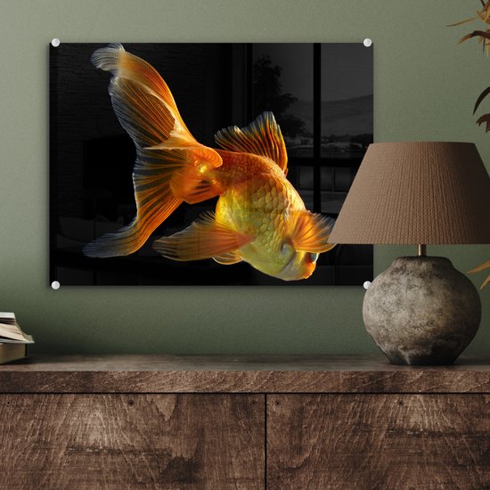 MuchoWow® Peinture sur verre 40x30 cm - Peinture sur verre acrylique - Poisson rouge - Animaux - Zwart - Photo sur verre - Peintures