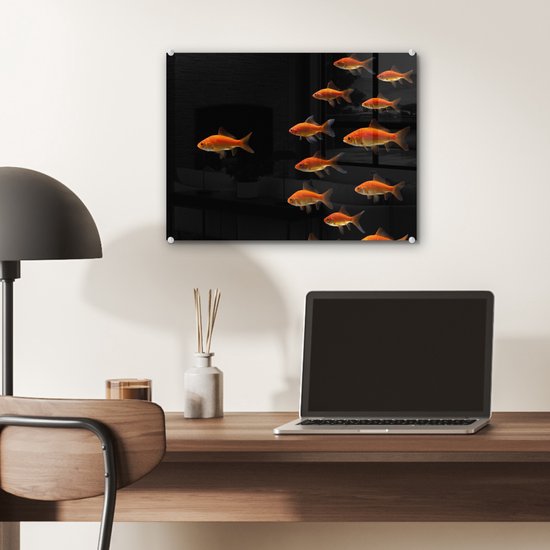 MuchoWow® Peinture sur verre 40x30 cm - Peinture sur verre acrylique - Poisson rouge - Animaux - Zwart - Photo sur verre - Peintures