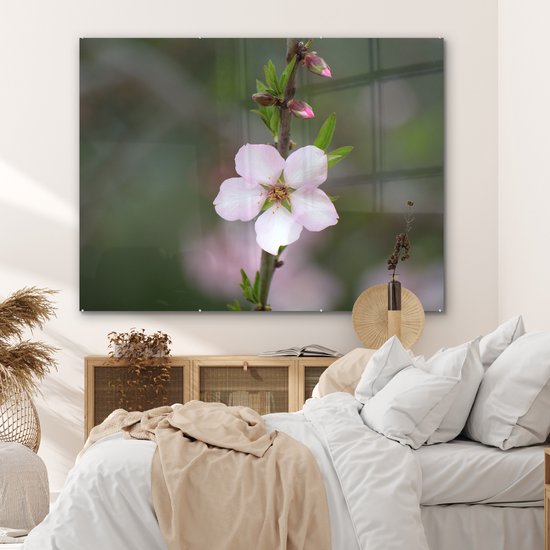 MuchoWow® Peinture sur verre - Bloem d'amandier - 160x120 cm - Peintures sur verre acrylique - Photo sur Glas