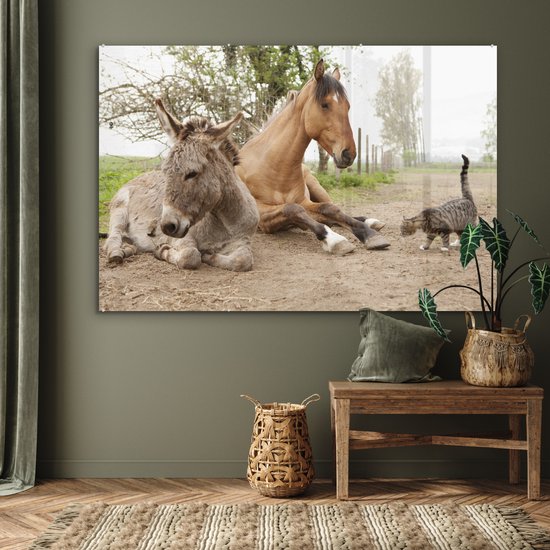 Peinture sur Verre - Âne Chat et Cheval sur Chemin de Terre - 180x120 cm - Peintures sur Verre Peintures - Photo sur Glas