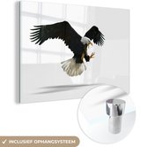 MuchoWow® Glasschilderij 90x60 cm - Schilderij acrylglas - Arend - Vogel - Wit - Foto op glas - Schilderijen