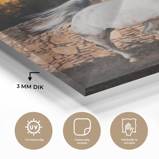 ® Glasschilderij 20x30 cm - Schilderij acrylglas - Paard - Wit - Boom - Zon - Foto op glas - Muurdecoratie woonkamer - Wanddecoratie slaapkamer - Schilderijen