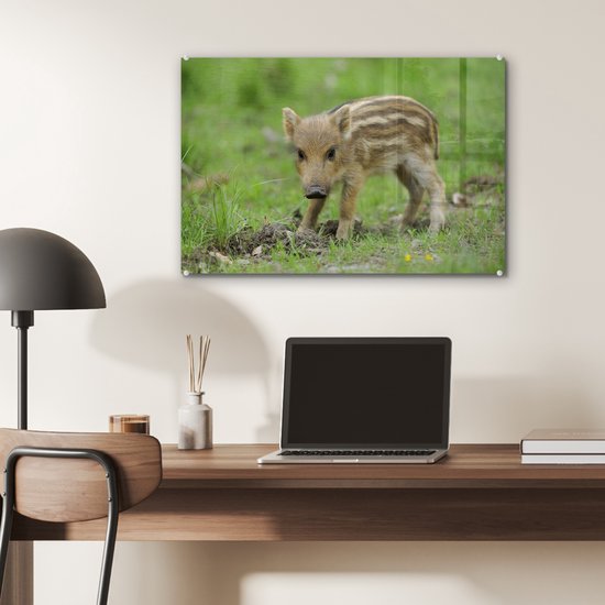 MuchoWow® Peinture sur verre - Sanglier dans l'herbe - 60x40 cm - Peintures sur verre acrylique - Photo sur Glas