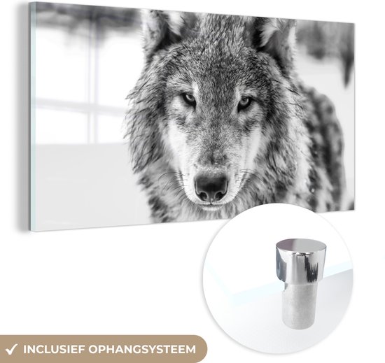 MuchoWow® Glasschilderij 80x40 cm - Schilderij acrylglas - Wolf in de winter in zwart-wit - Foto op glas - Schilderijen