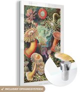MuchoWow® Glasschilderij 120x180 cm - Schilderij acrylglas - Ernst Haeckel - Anemoon - Retro - Natuur - Planten - Zee - Foto op glas - Schilderijen