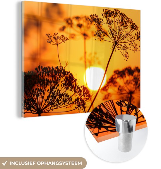 MuchoWow - Glasschilderij - Muurdecoratie - Zon - Planten - Oranje - Horizon - Acrylplaat - Wanddecoratie - Foto op glas - Acrylglas - 80x60 cm - Schilderijen woonkamer