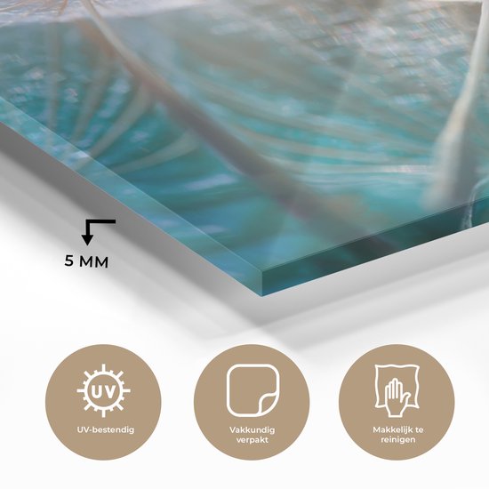 MuchoWow® Peinture sur Verre - Bloem - Pissenlit - Plante - 80x60 cm - Peintures sur Verre Acrylique - Photo sur Glas