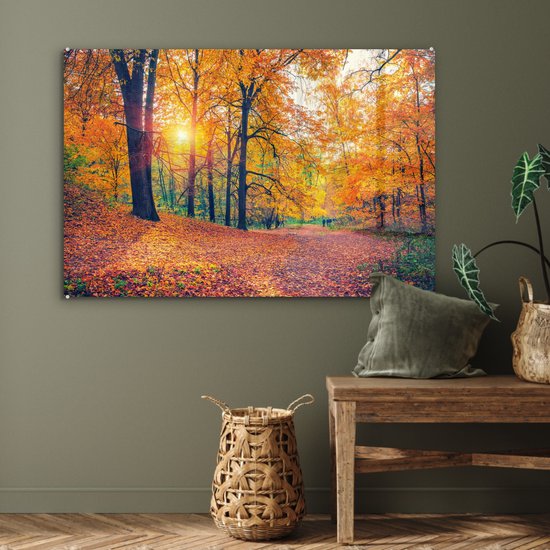 MuchoWow® Glasschilderij 90x60 cm - Schilderij acrylglas - Bomen - Herfst - Bos - Herfstbladeren - Foto op glas - Schilderijen