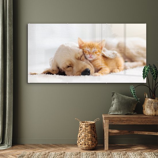 Peinture sur verre - Photo sur verre - Chat - Chien - Chat - Chaton - Couverture - Animaux - Décoration murale - 160x80 cm - Verre acrylique - Peinture animaux - Décoration murale - Peinture sur verre