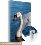 Glasschilderij - Foto op glas - Acrylglas - Zwaan - Vogel - Water - Landschap - 80x120 cm - Schilderij glas - Glasschilderij vogels - Glasschilderij dieren - Kamer decoratie