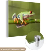 MuchoWow® Glasschilderij 90x90 cm - Schilderij acrylglas - Roodoogmakikikker op bamboe - Foto op glas - Schilderijen