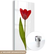 MuchoWow® Glasschilderij 40x80 cm - Schilderij acrylglas - Rode tulp voor witte achtergrond - Foto op glas - Schilderijen