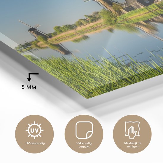 Peinture sur Verre - Moulin à Vent - Printemps - Pays- Nederland - 160x80 cm - Peintures sur Verre Peintures - Photo sur Glas