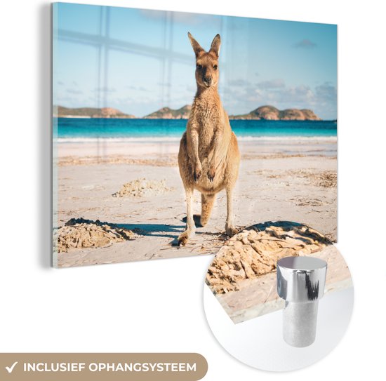 MuchoWow® Glasschilderij 30x20 cm - Schilderij acrylglas - Kangoeroe - Strand - Australië - Foto op glas - Schilderijen