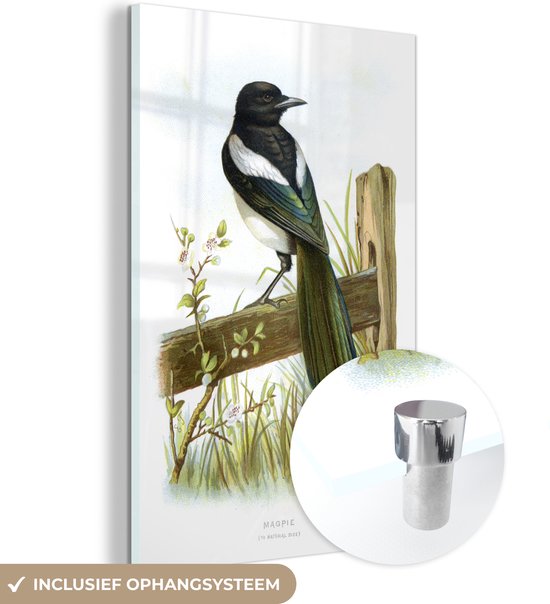 MuchoWow® Glasschilderij 60x90 cm - Schilderij acrylglas - Illustratie van een ekster vogel op een hek - Foto op glas - Schilderijen