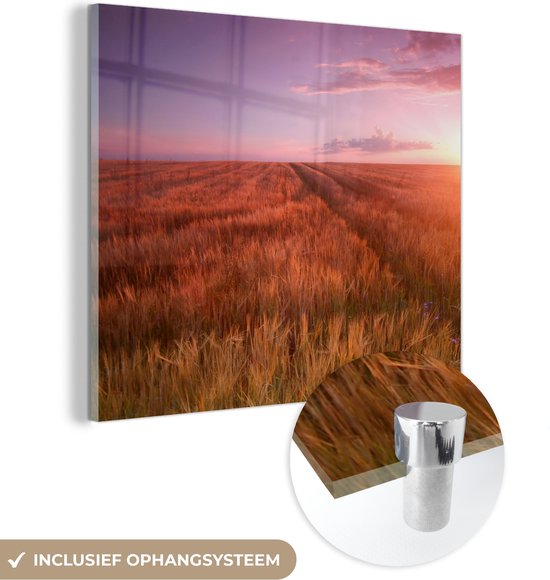 MuchoWow® Glasschilderij 90x90 cm - Schilderij acrylglas - Grasveld - Zon - Avond - Landschap - Foto op glas - Schilderijen