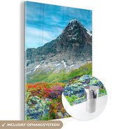 MuchoWow® Glasschilderij 30x40 cm - Schilderij acrylglas - Bloemen - Berg - Sneeuw - Landschap - Foto op glas - Schilderijen