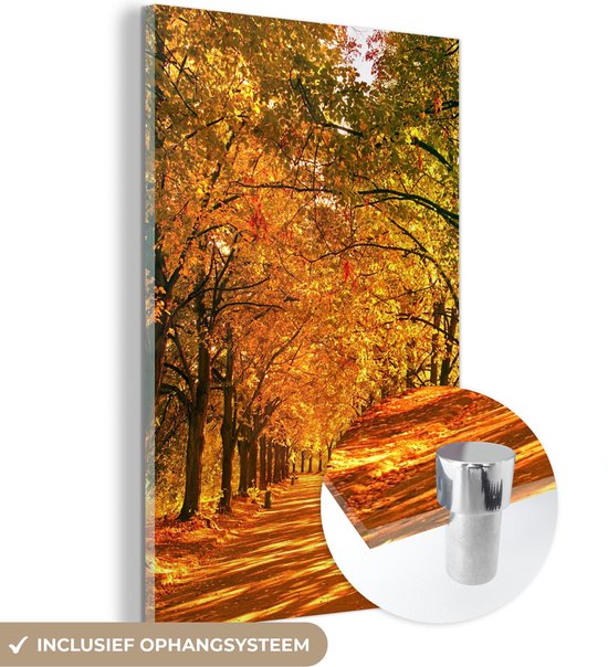 MuchoWow® Peinture sur verre - Forêt - Automne - Saisons - Rural - 80x120 cm - Peintures sur verre acrylique - Photo sur Glas