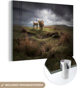 MuchoWow® Glasschilderij 40x30 cm - Schilderij acrylglas - Schotse Hooglanders - Schotse Koe - Landschap - Foto op glas - Schilderijen